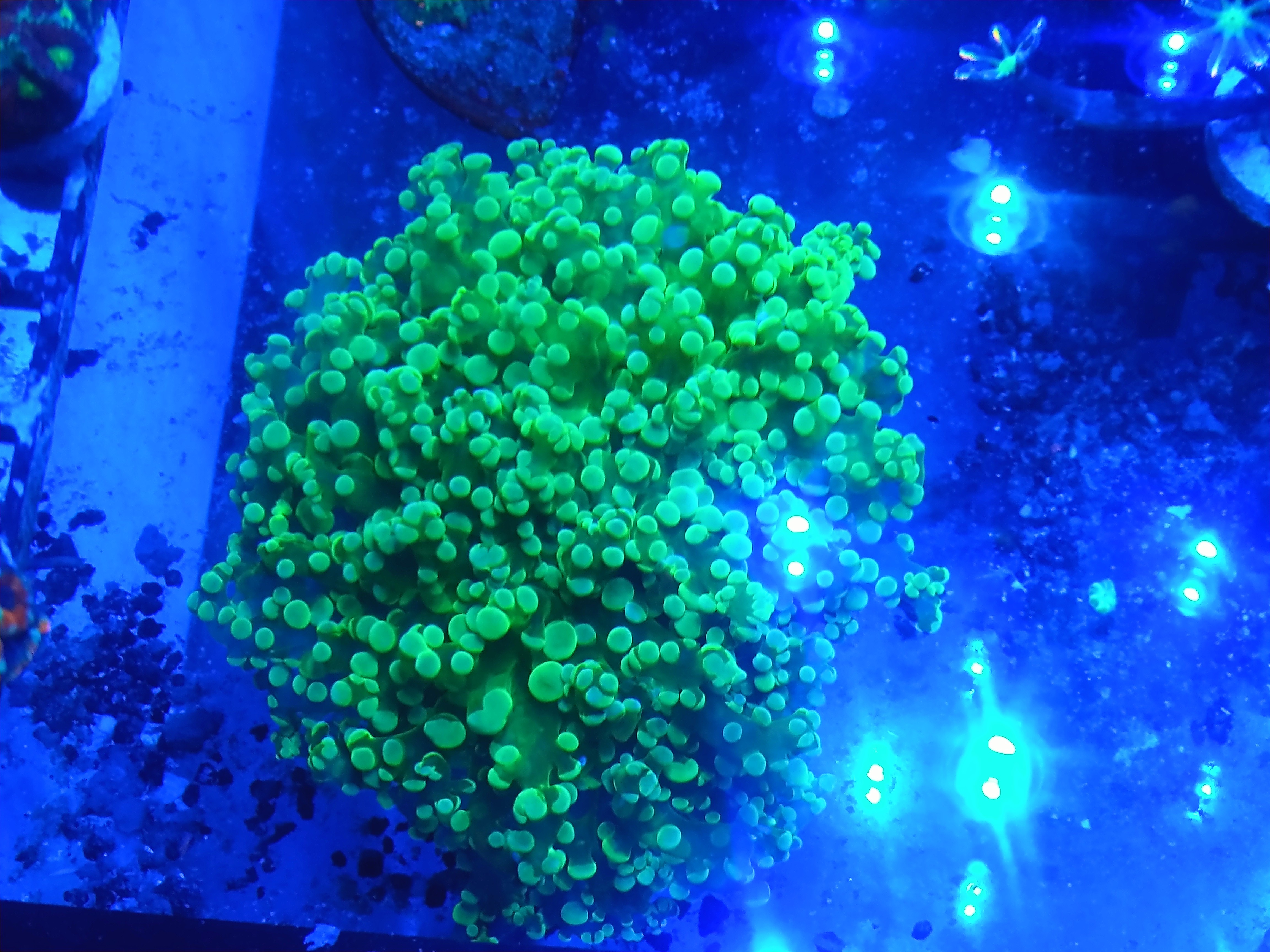 IMG_20201103_202622156~2.jpg