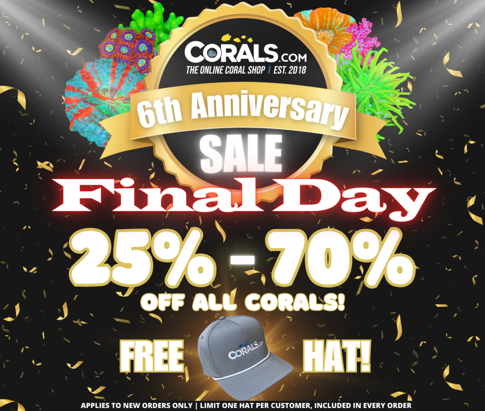 Anniversary Sale 2024 Ends Tomorrow(2).png