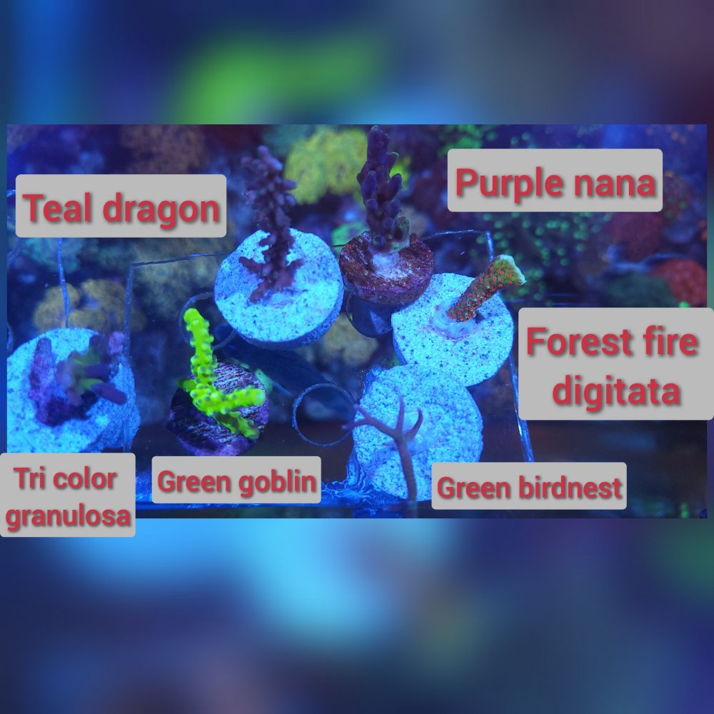 GridArt_20230508_233328147.jpg