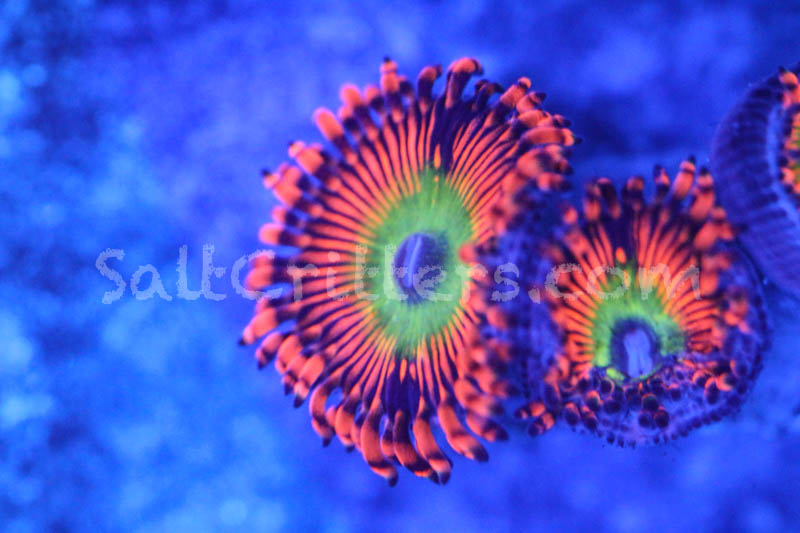 d1ae6f73-a532-40ad-9fdf-5c3cb428a904.jpg