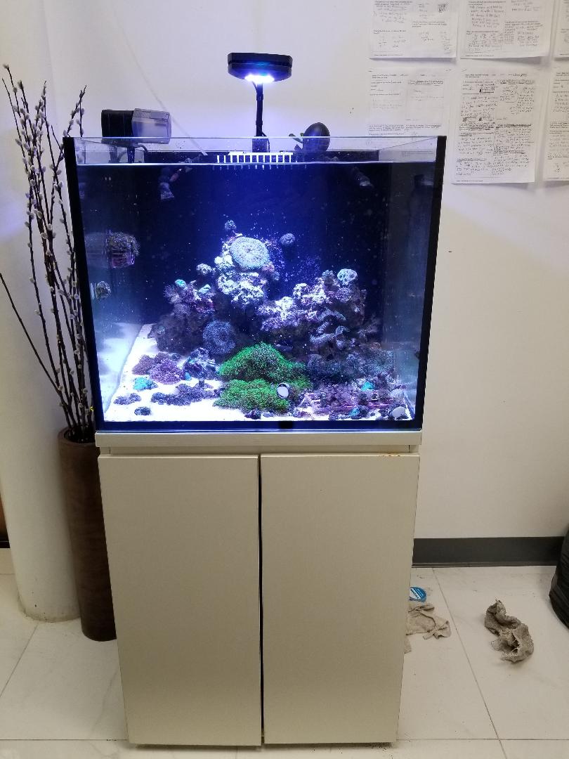 tank 2.jpg
