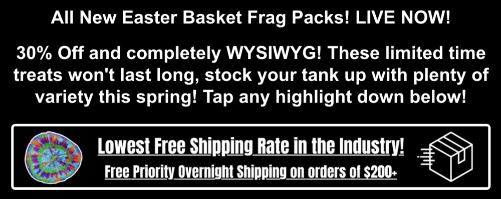 Screenshot 2026-04-03 at 1.08.12 PM.png