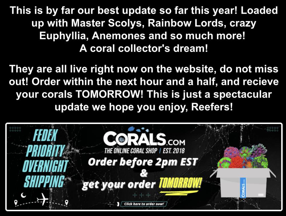 Screenshot 2026-02-24 at 10.30.10 AM.png