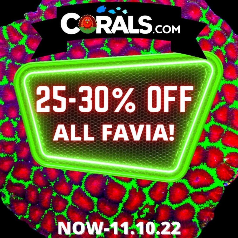 25-30% OFF ZOA COLONIES(5).jpg