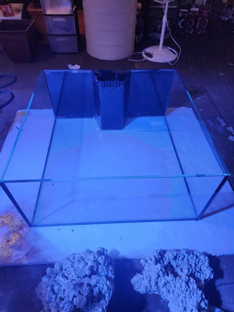 20230205_124531.jpg