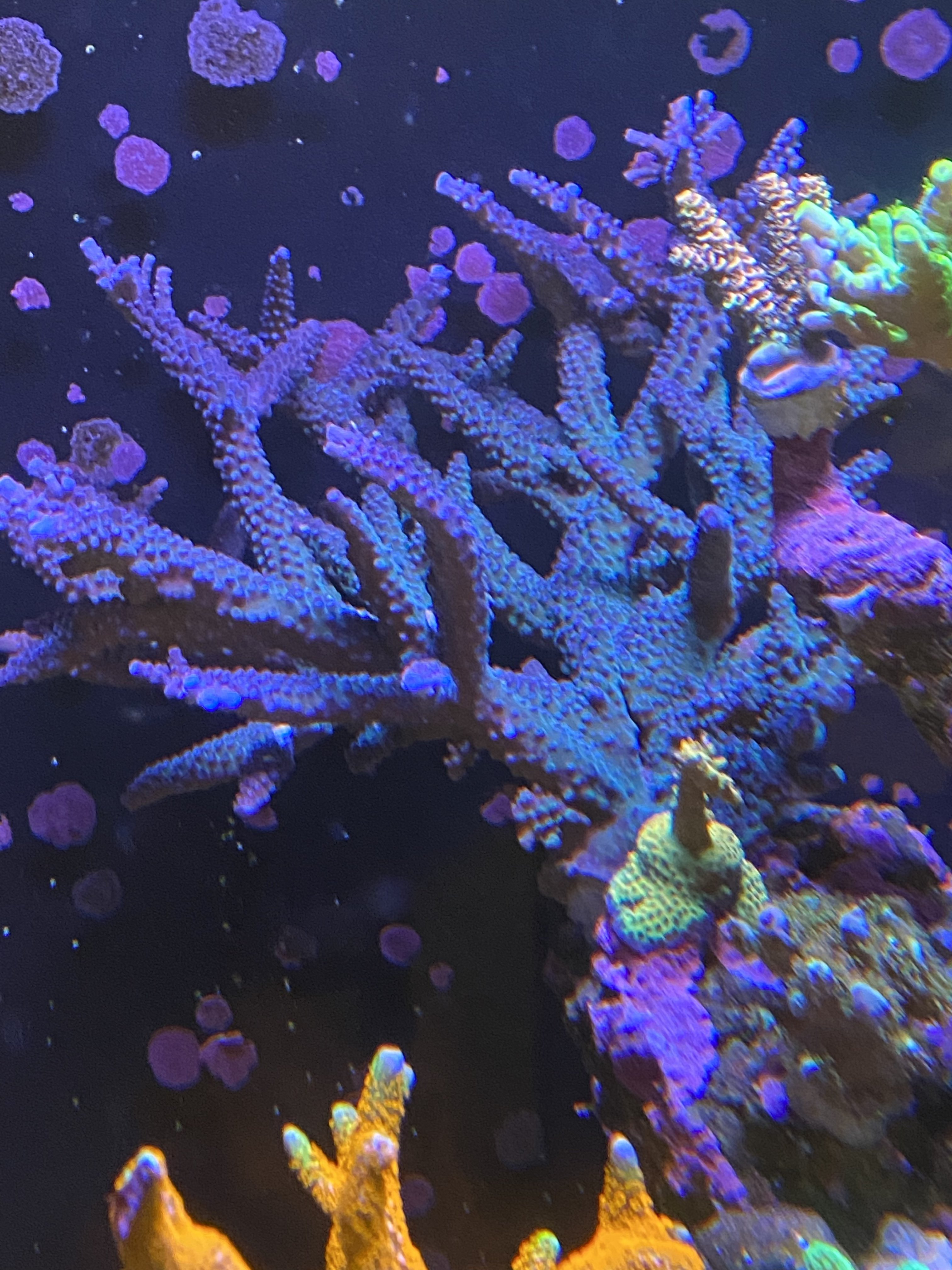 E562F61E-9A0C-4986-9191-F59AC436D1F1.jpeg