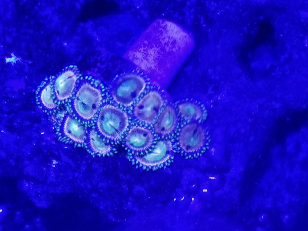 20230123_225618.jpg