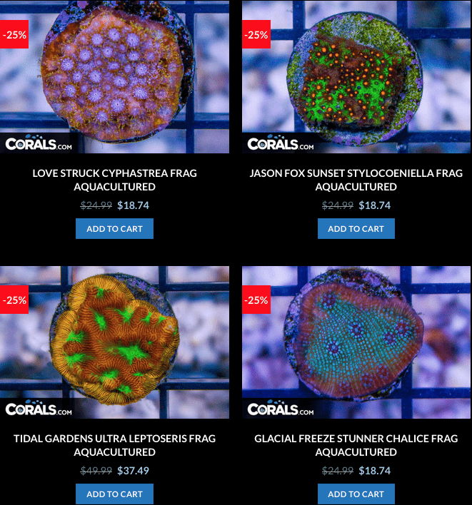 Screen Shot 2023-01-17 at 8.59.36 AM.png