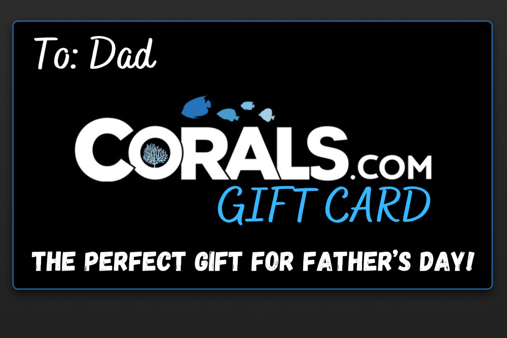 Father's Day GIFT CARD(1).png