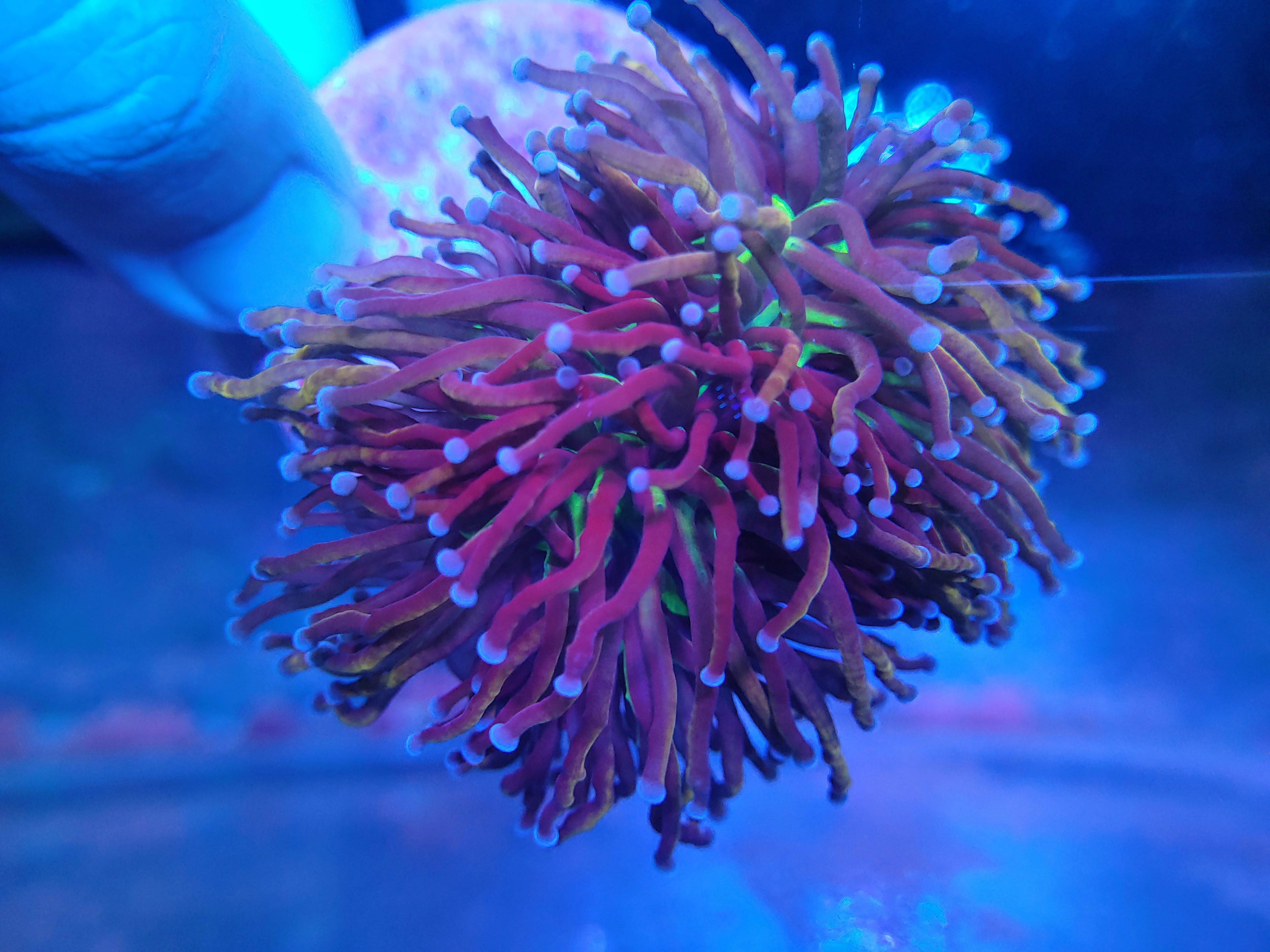 20201016_154158.jpg
