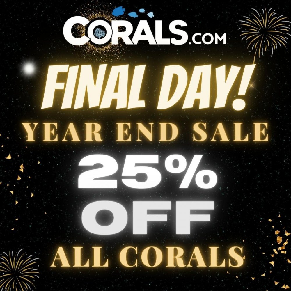 year end sale FINAL DAY.jpg