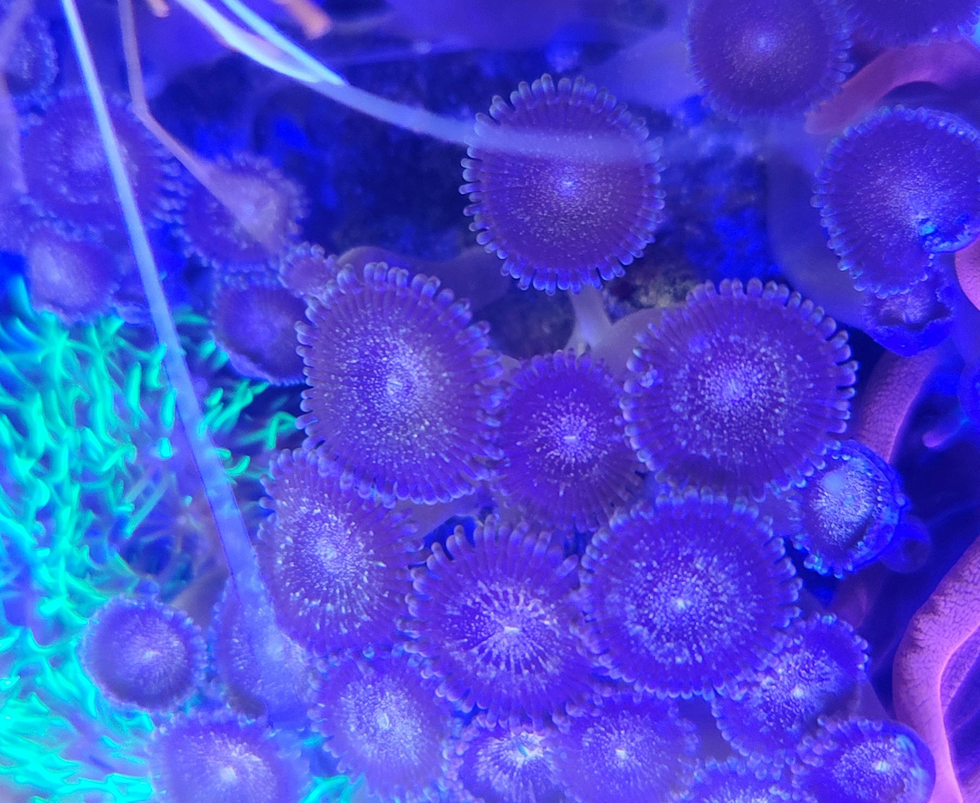 20210815_125210.jpg