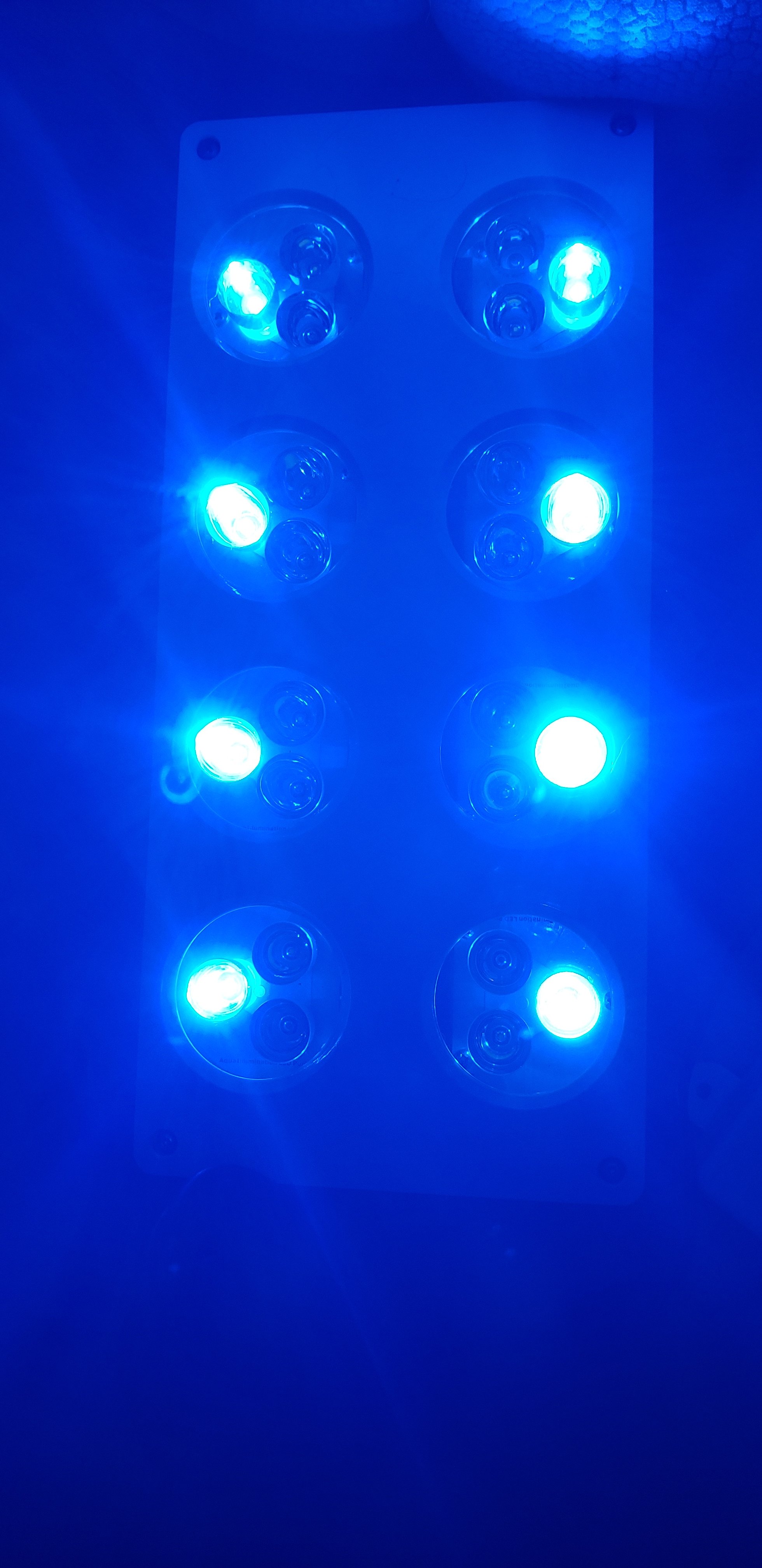 20200929_182807.jpg