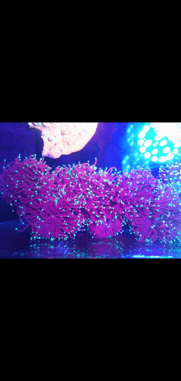 Screenshot_20210908-125602.png