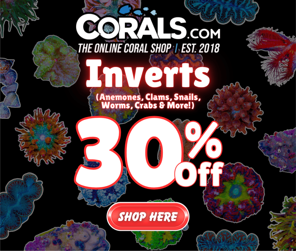 Invert Sale.png