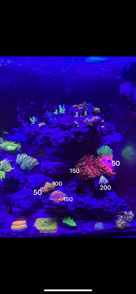456EC9A9-3D0C-4F26-929E-CE18D43D0CCF.png