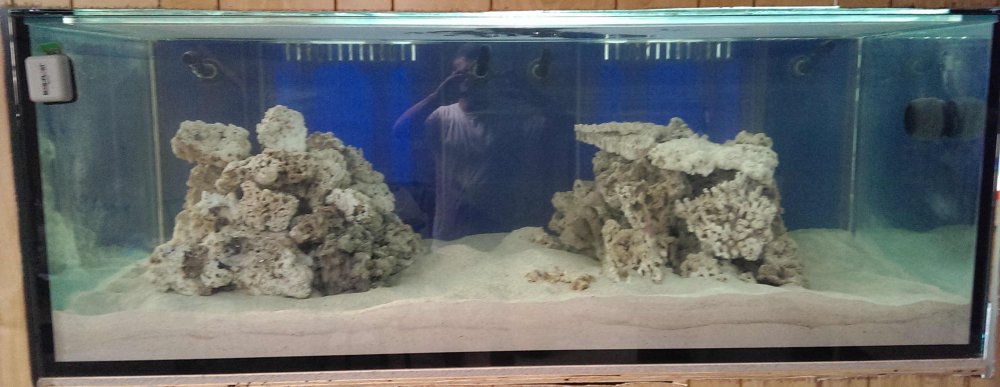 fishtank-c.jpg