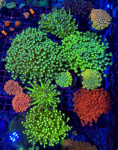 IMG_9651 Medium.jpeg