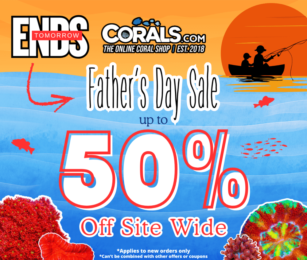 ends 2morrow website fathers day 2026.png