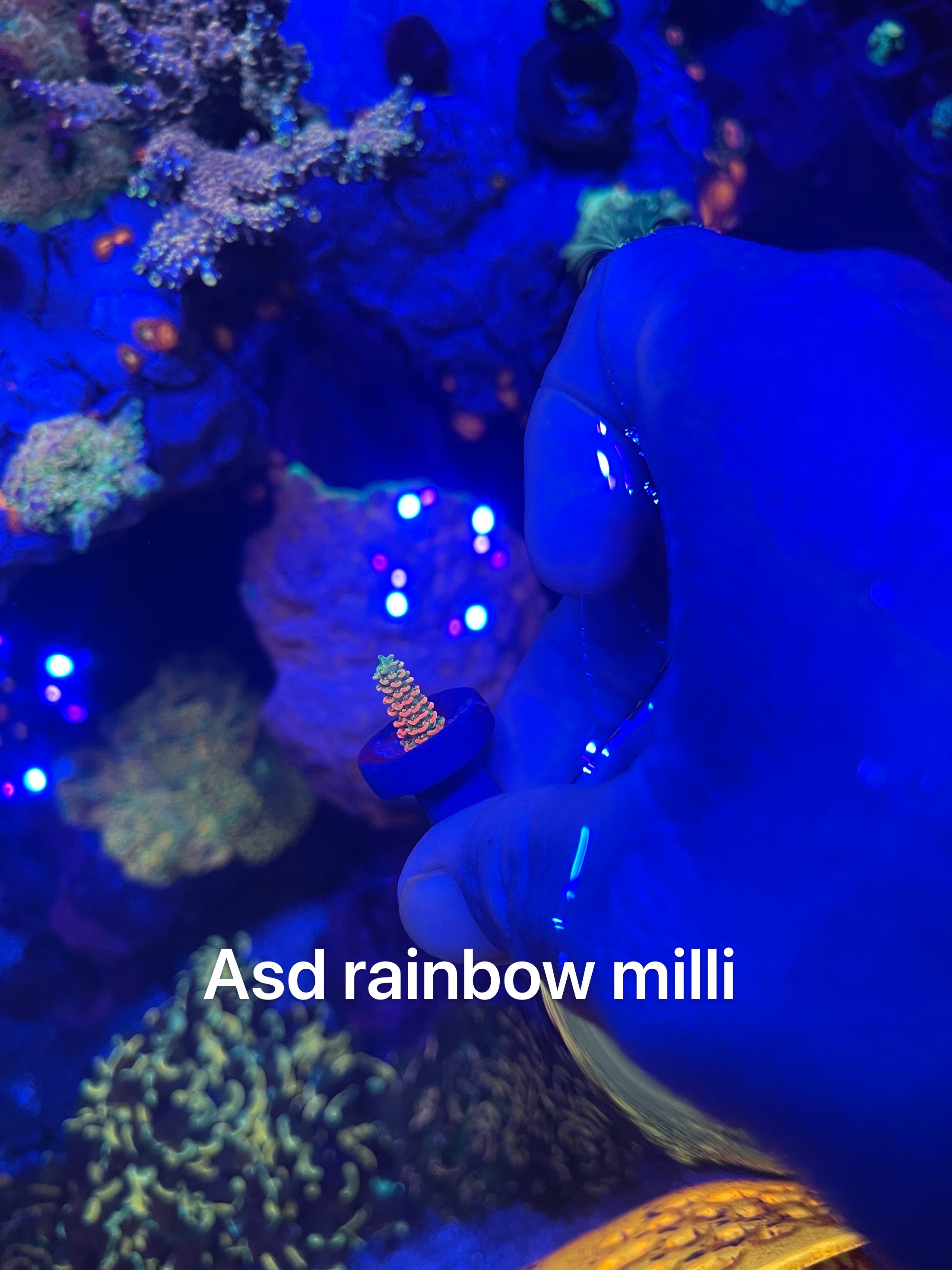 3A3B4112-D01F-4F94-9ED8-CF30F4FCFC35.jpeg