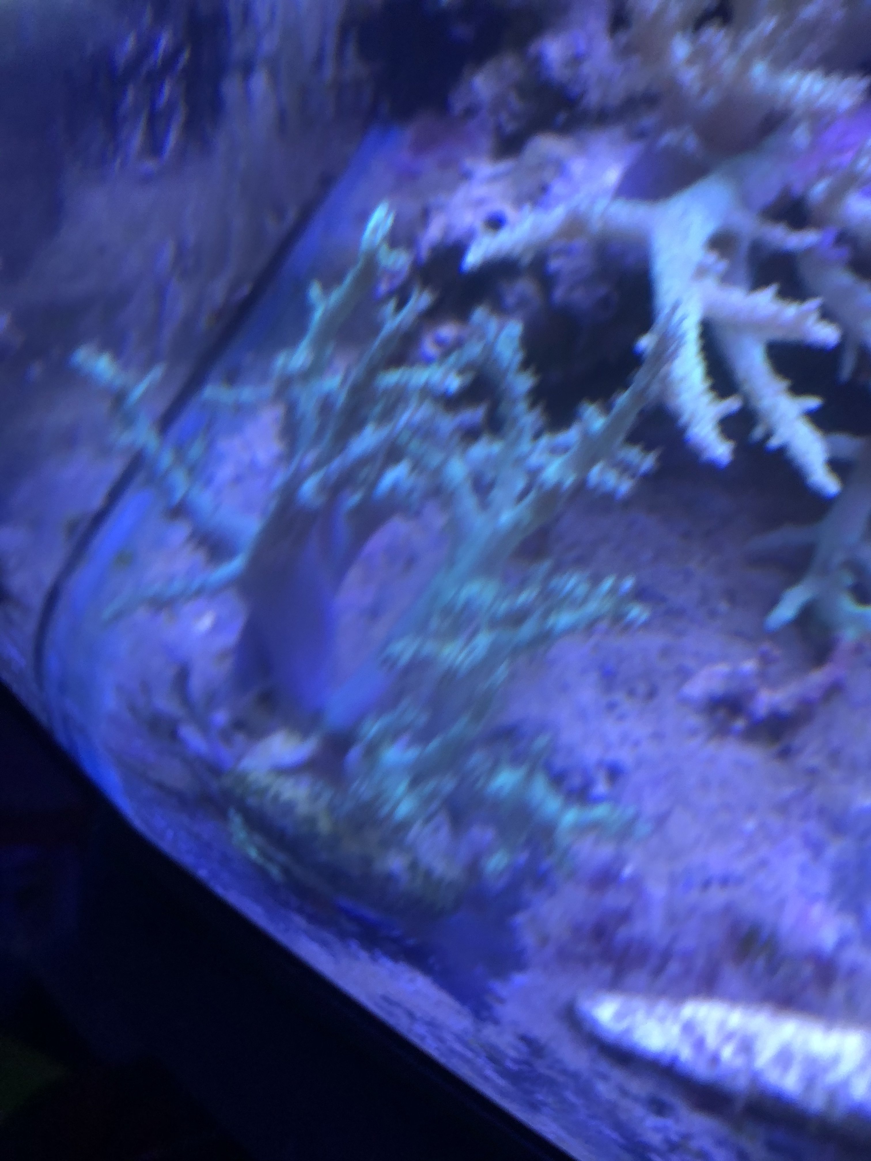 2AE94625-F0AC-4811-8706-1D48911029B8.jpeg