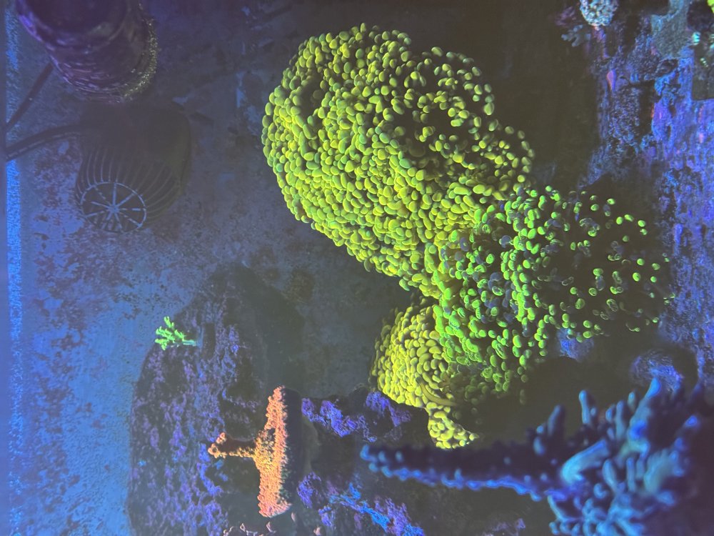 IMG_2653.jpeg