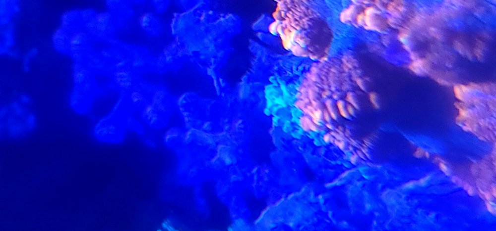 20240603_191354.jpg