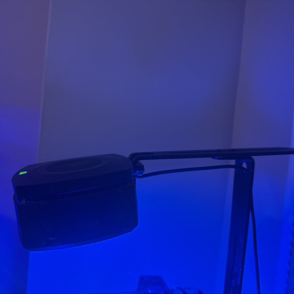 IMG_5104.jpeg