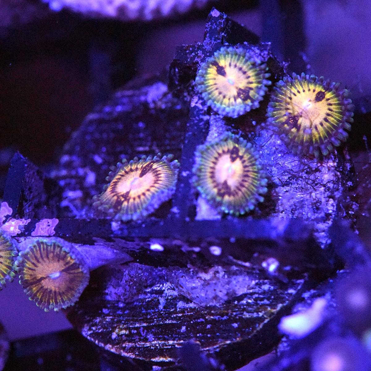 DSC_4141.JPG