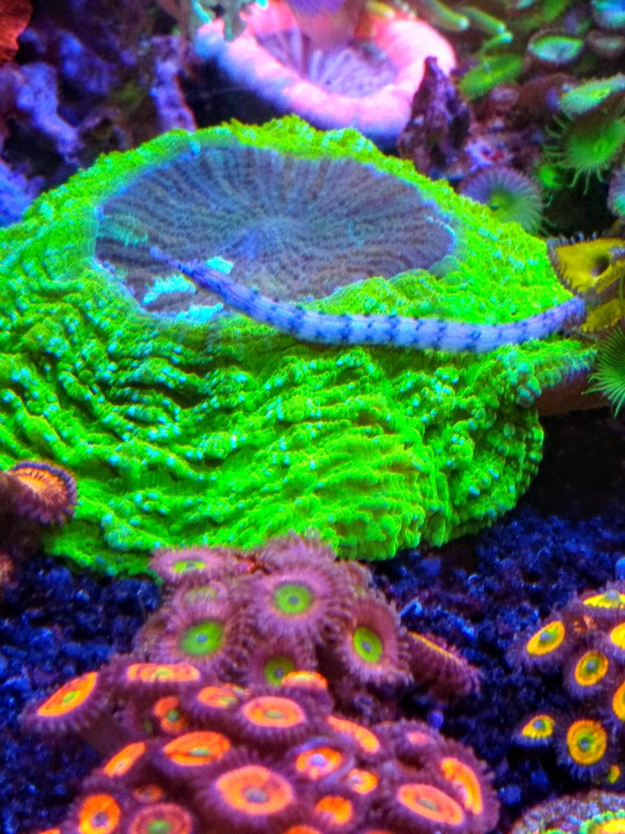 1597621026883_IMG_20200321_160244884 (1).jpg