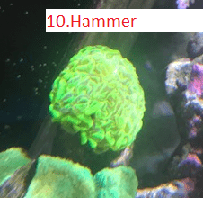 IMG_1324.png
