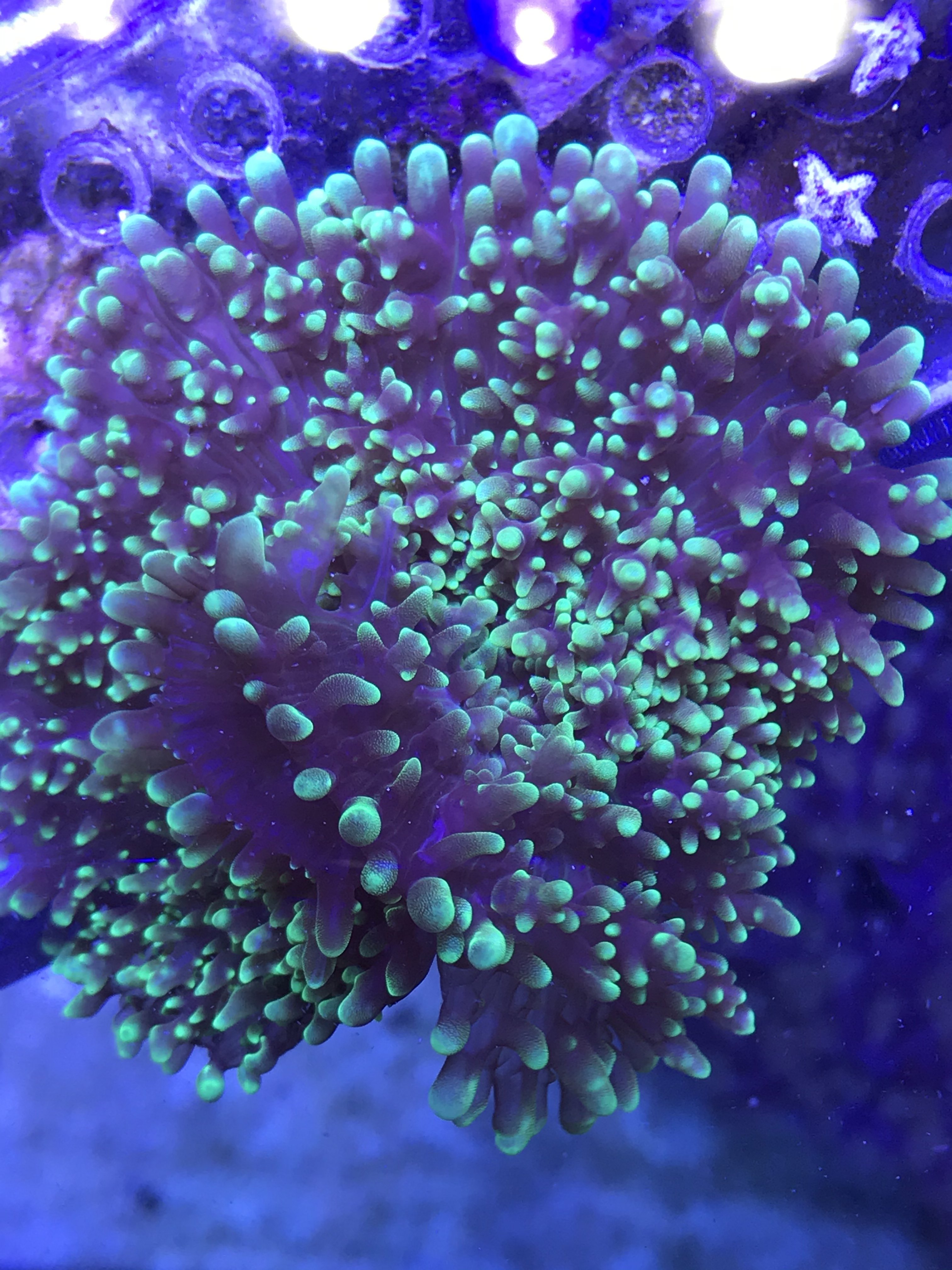 48111979-EA57-4454-A04B-08F8C5D8F07E.jpeg