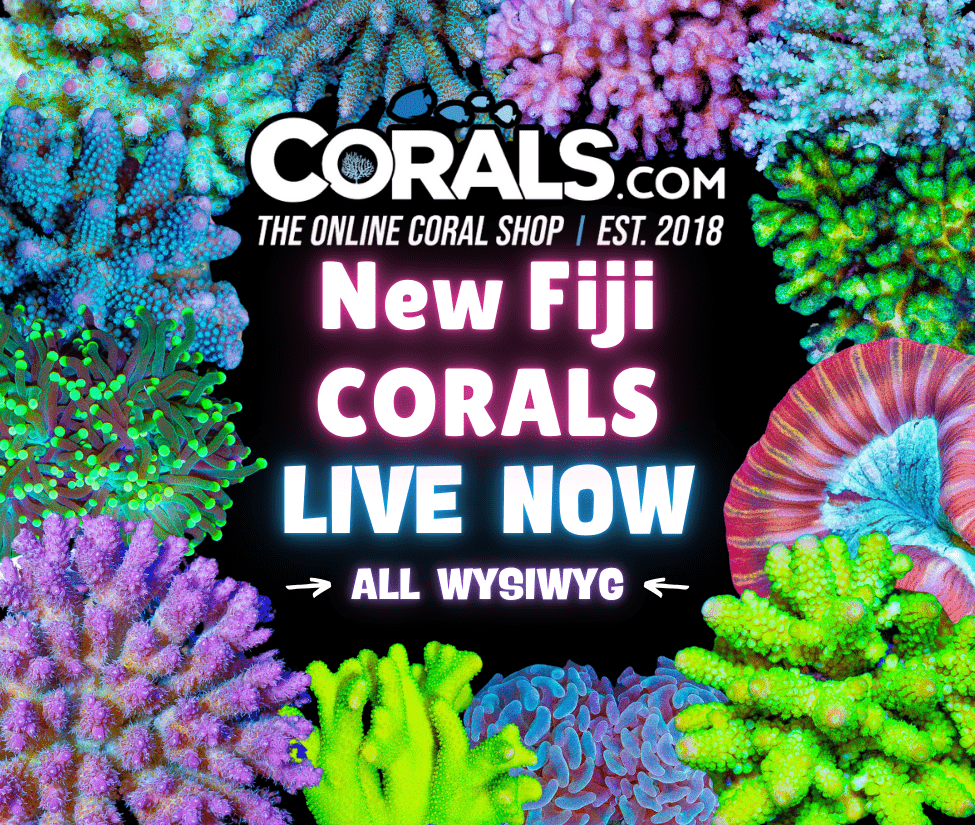 New Fiji 4.8.25.png