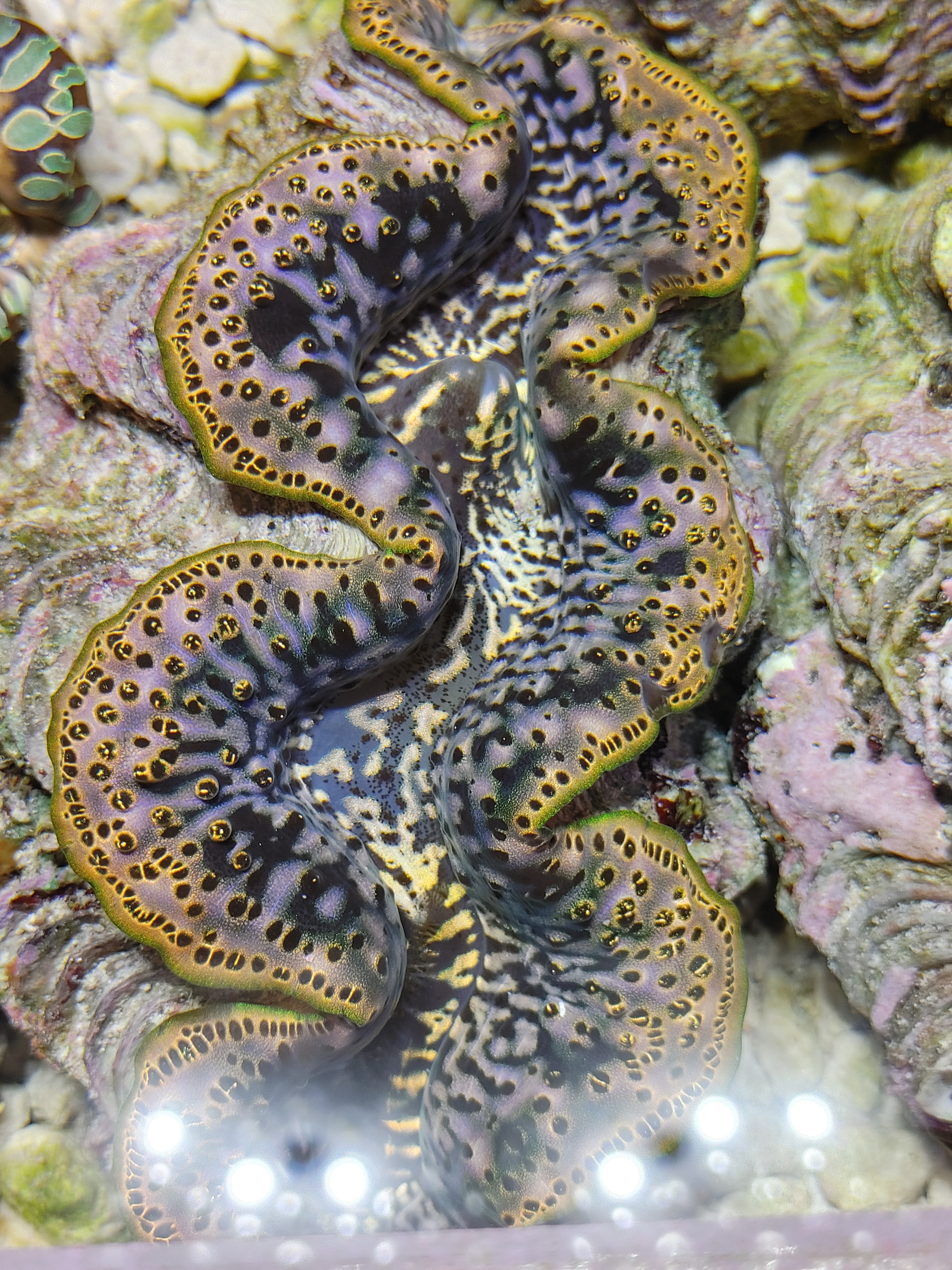 20201118_184054_HDR.jpg