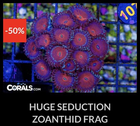 Screenshot 2026-04-09 at 7.09.08 PM.png