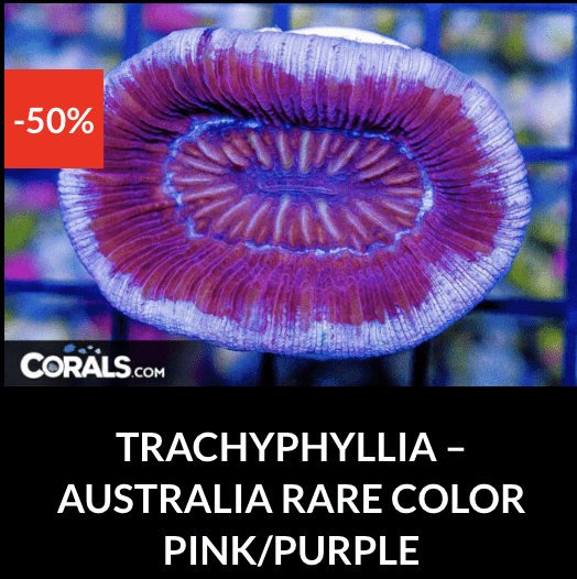 Screenshot 2025-12-28 at 9.51.05 AM.png