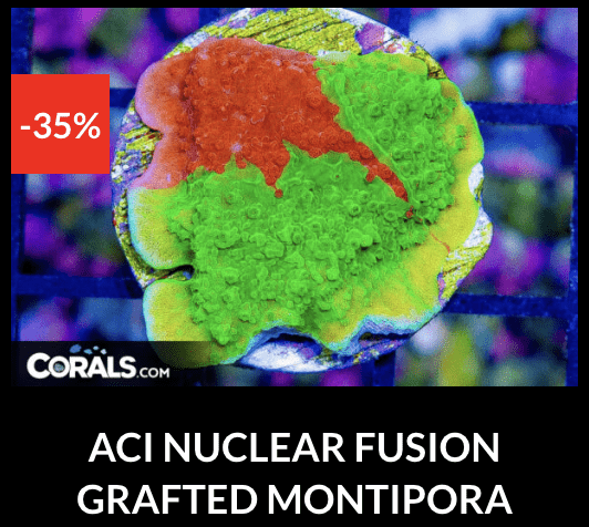 Screenshot 2026-04-09 at 7.09.38 PM.png