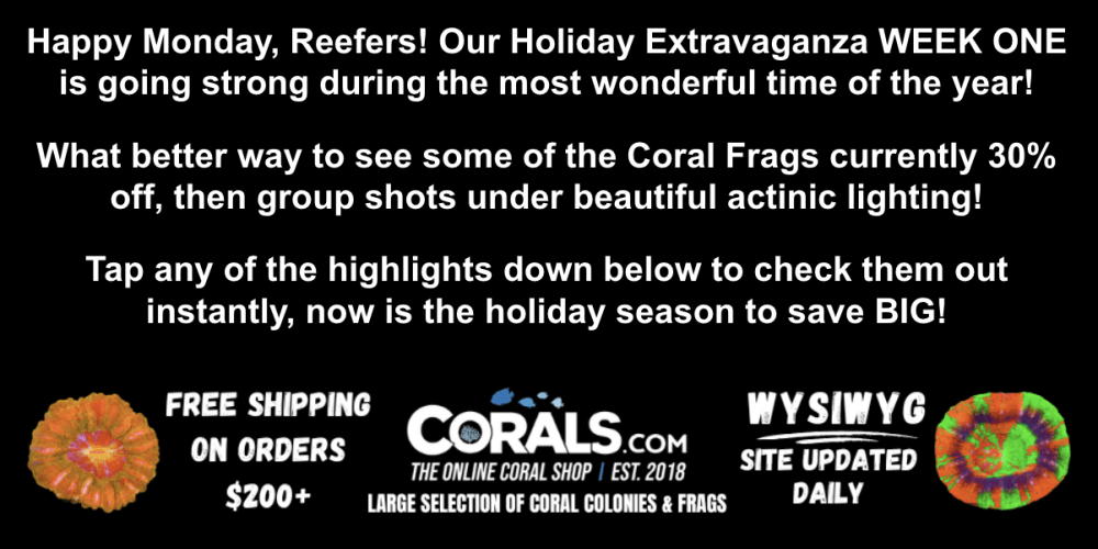 Screenshot 2025-12-08 at 3.16.19 PM.png