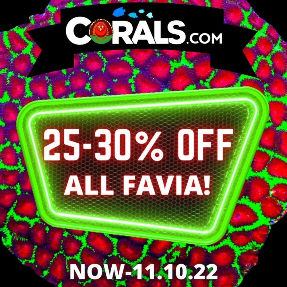 25-30% OFF ZOA COLONIES(3).jpg