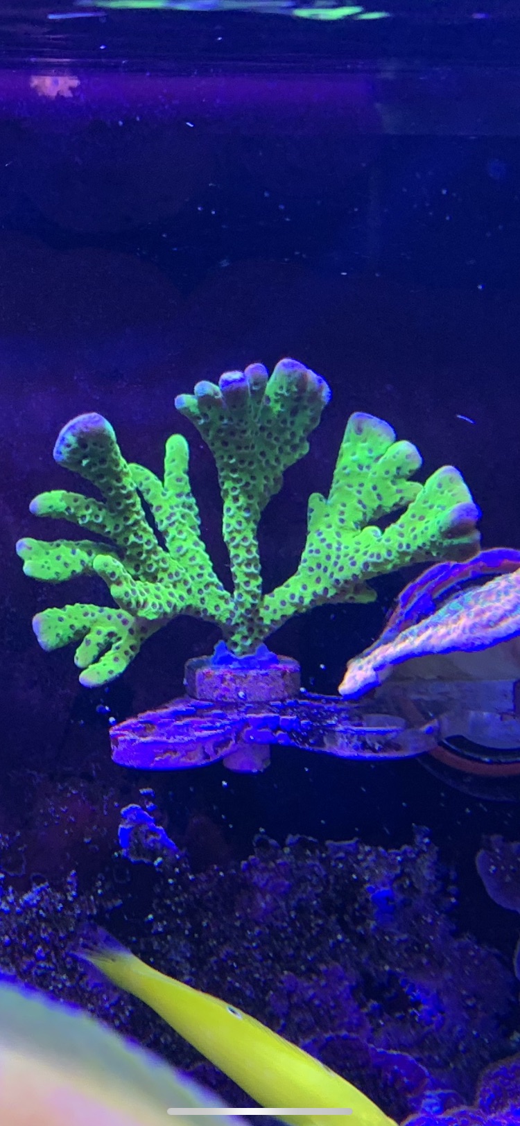 Green Goblin7.jpg.jpg