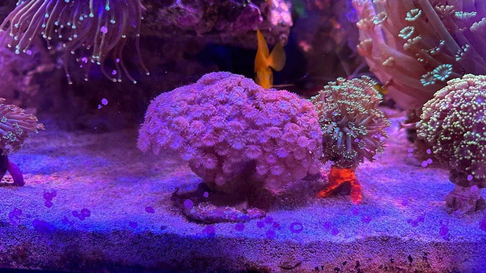 WhatsApp Image 2022-11-19 at 5.26.58 PM (1).jpeg