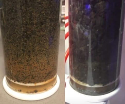 AquaChar vs activated carbon side by side.jpg AquaChar vs activated carbon side by side.jpg