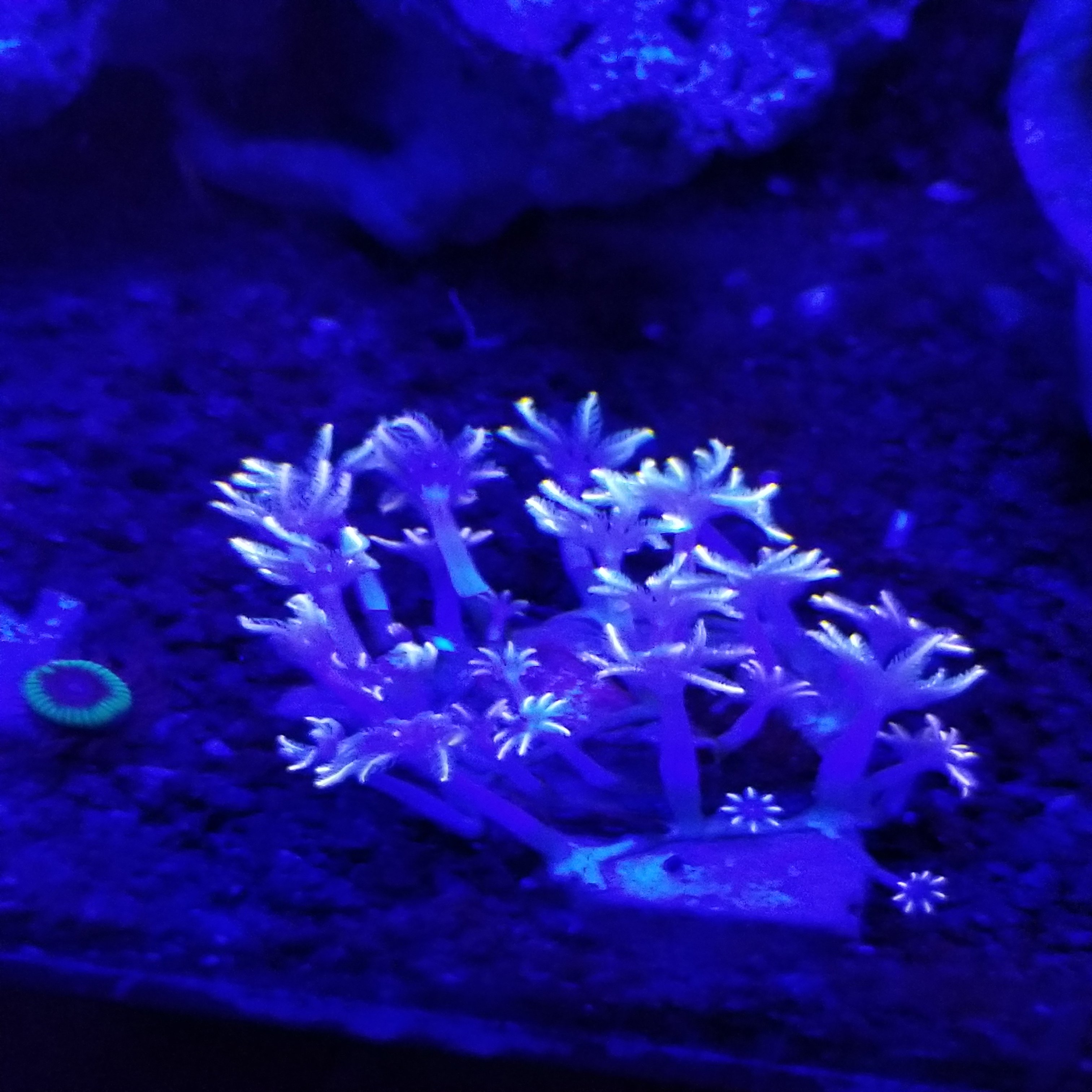 20210309_172609.jpg