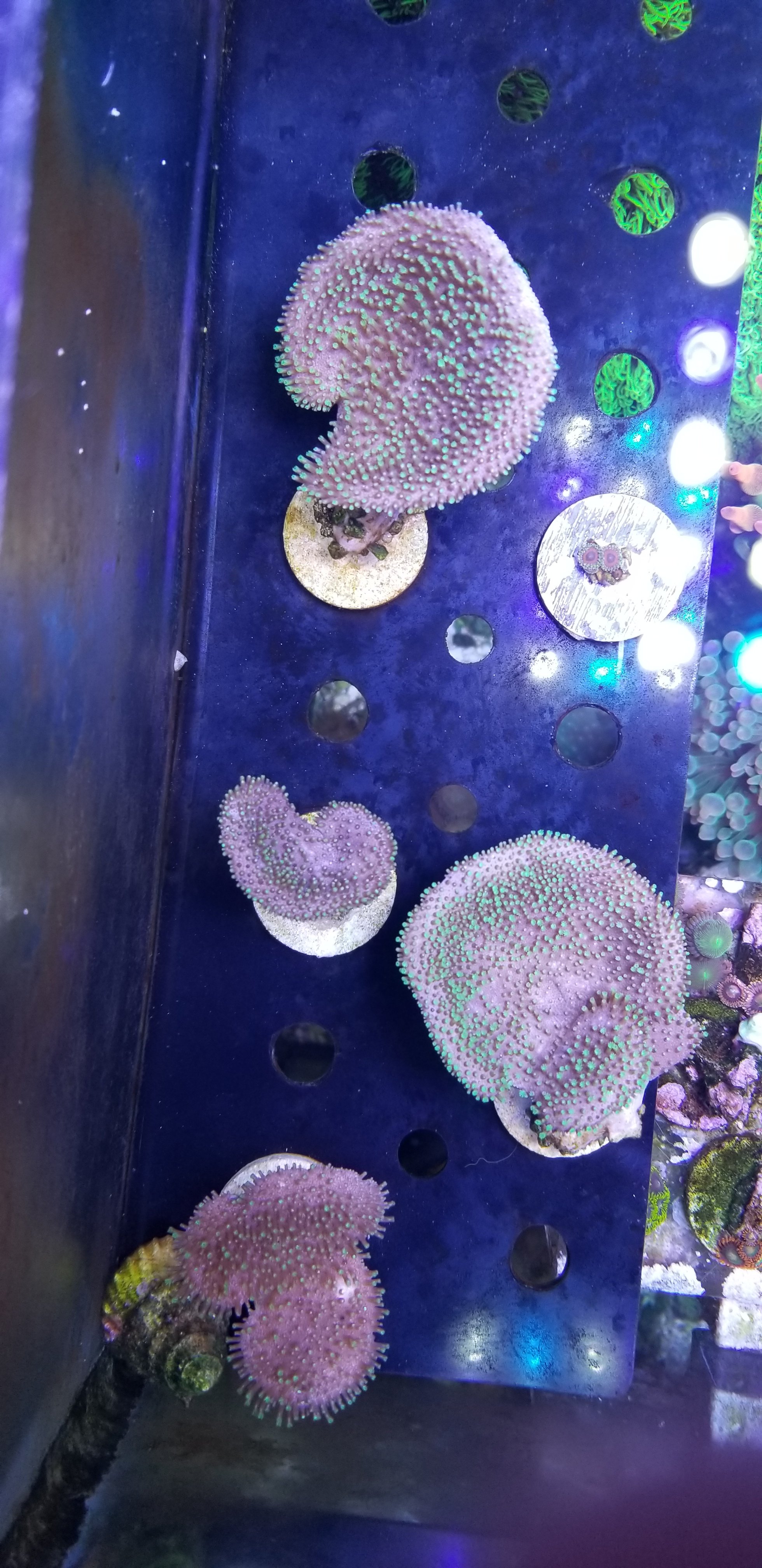 20201001_133002.jpg