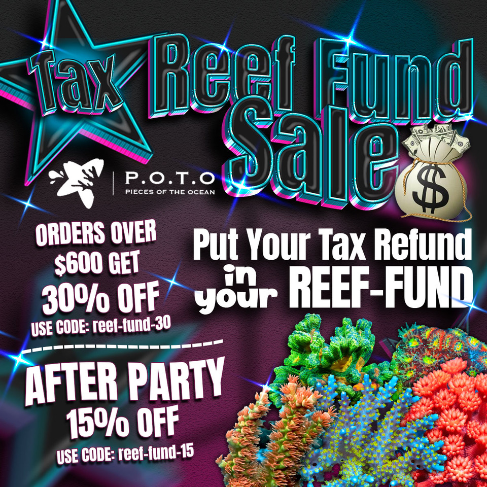 AFTER-SALE-reef-fund-sale-1200x1200.jpeg