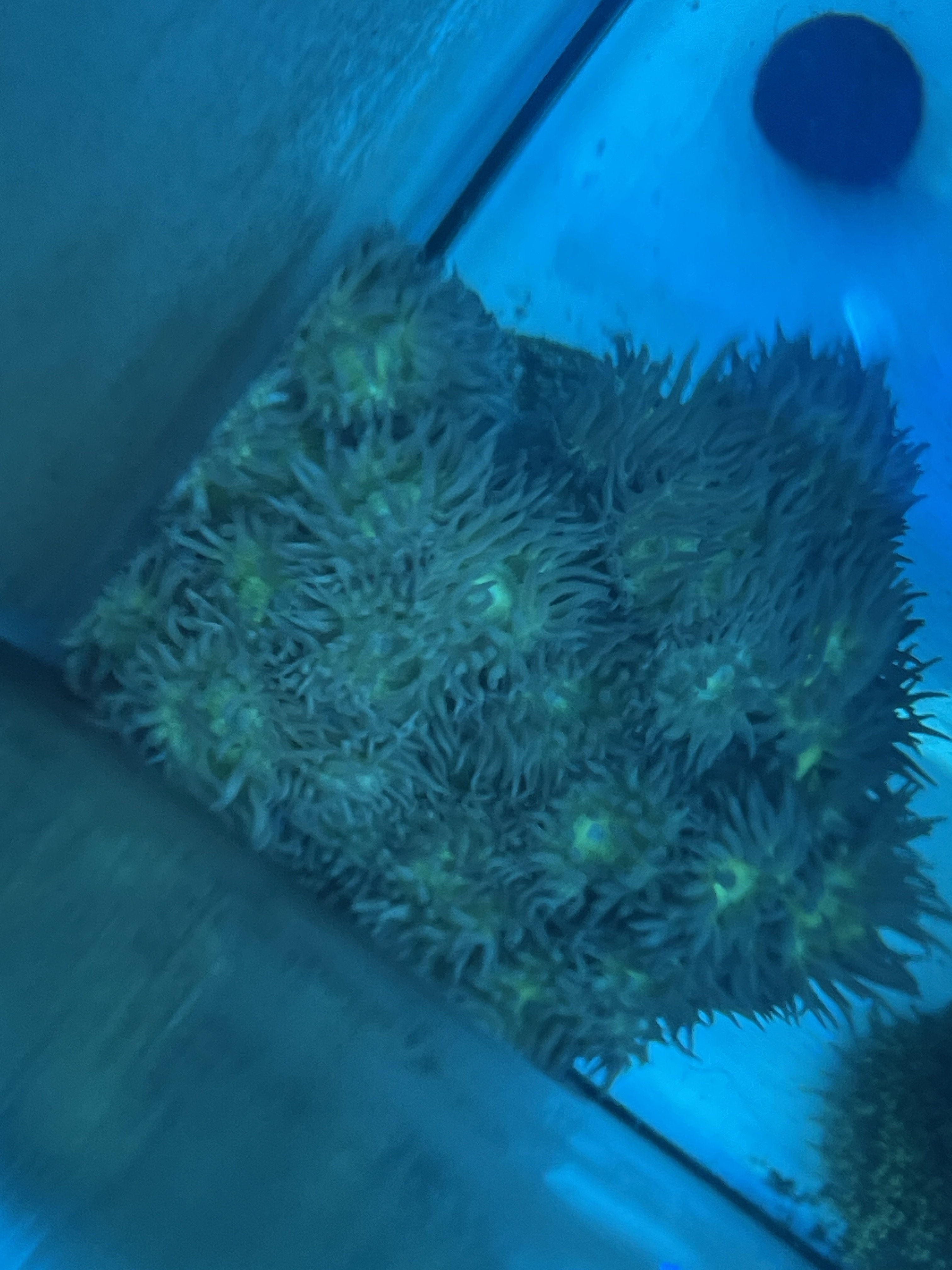 E4901F30-2047-41AB-B2DD-6591E16841C4.jpeg