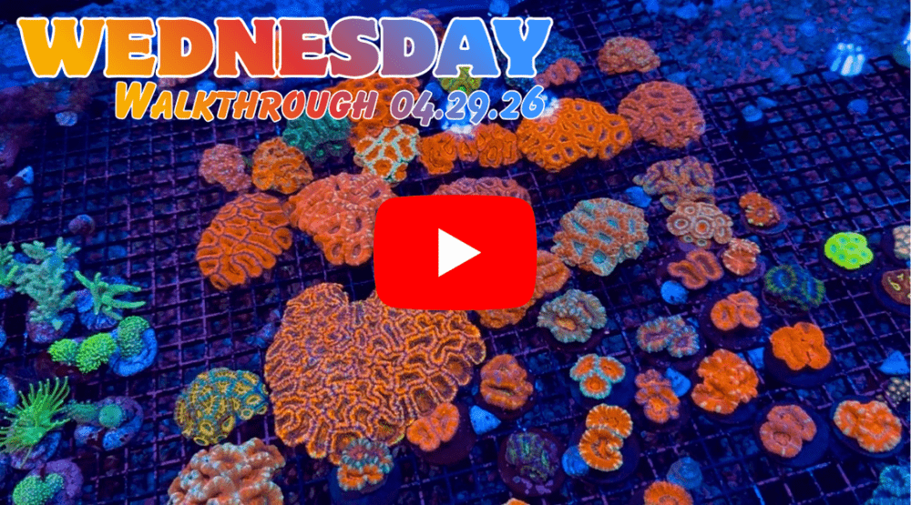 Walkthrough 04.29.26(1).png