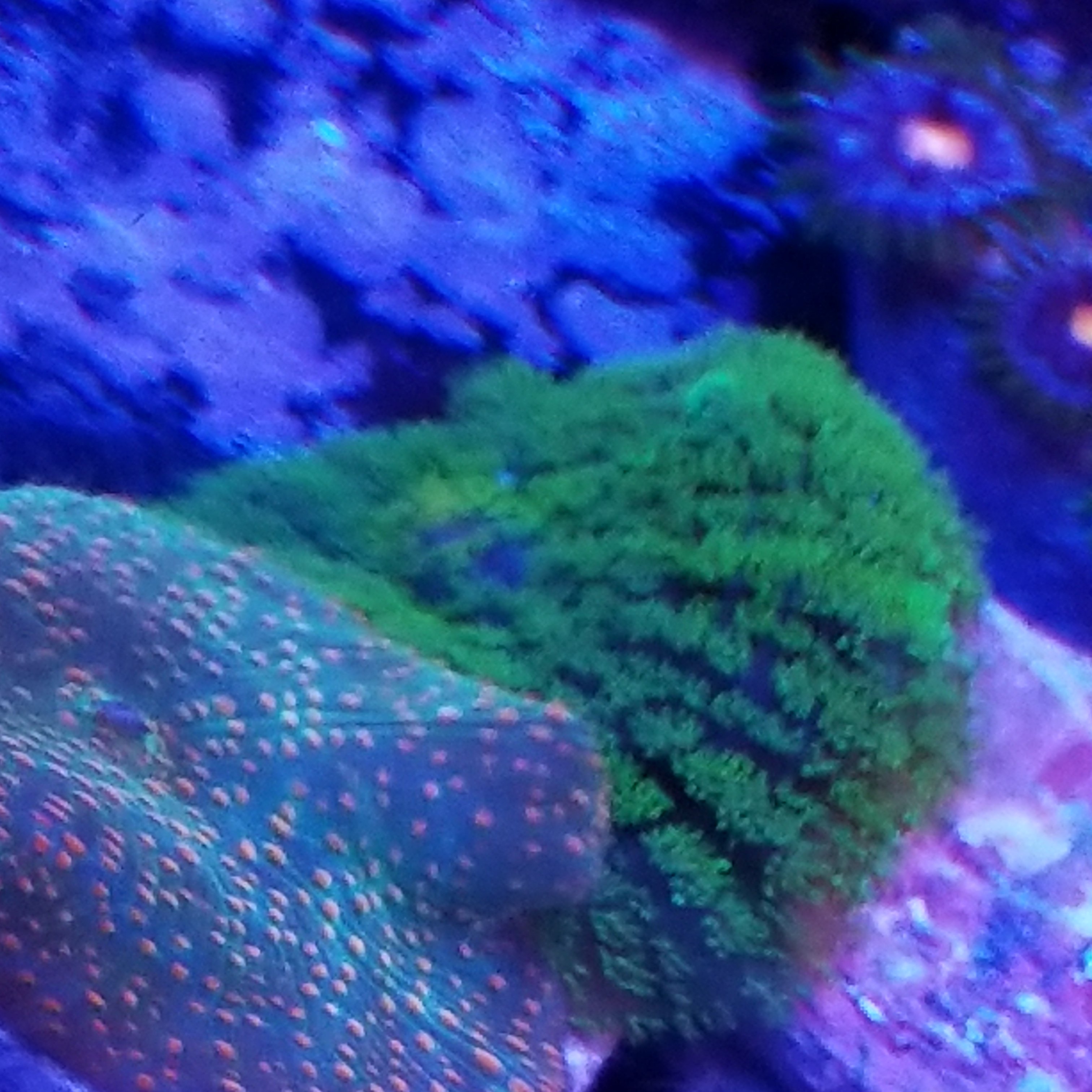 20210309_172346.jpg