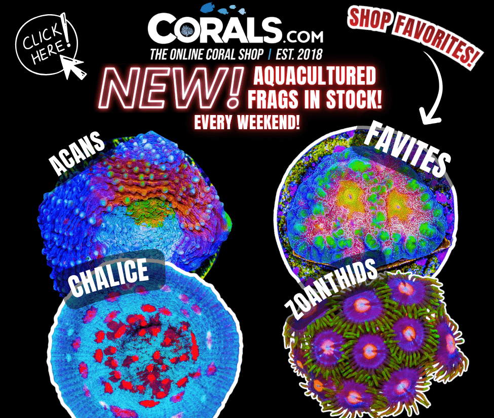 new aquaculture.png