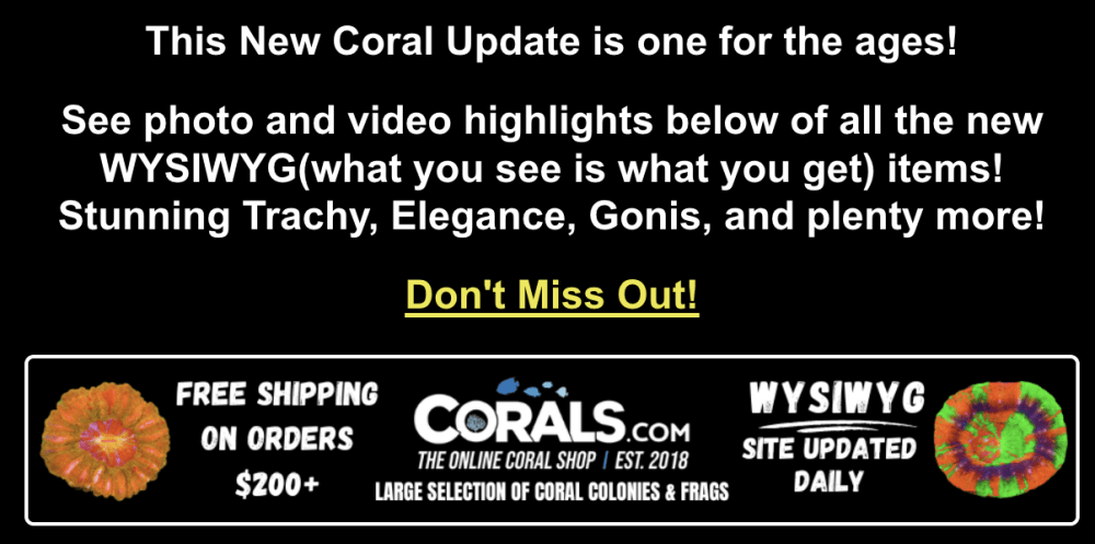 Screenshot 2026-02-10 at 2.40.37 PM.png